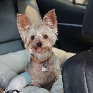 Meet your Posher, Martha lorena